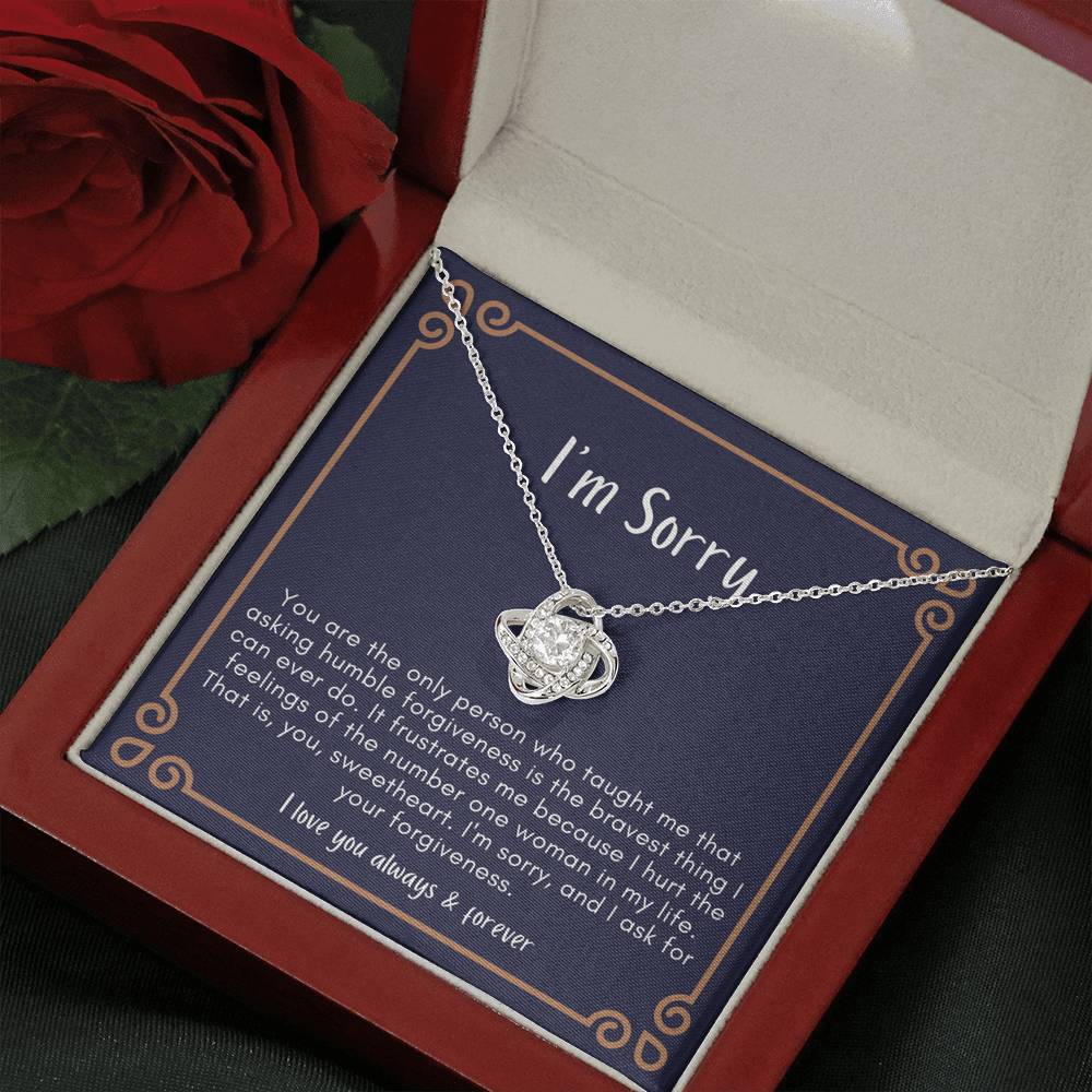 Sorry Gift, Apology Gift For Her, Forgiveness Gift, I’m Sorry Necklace Gift For Wife Girlfriend