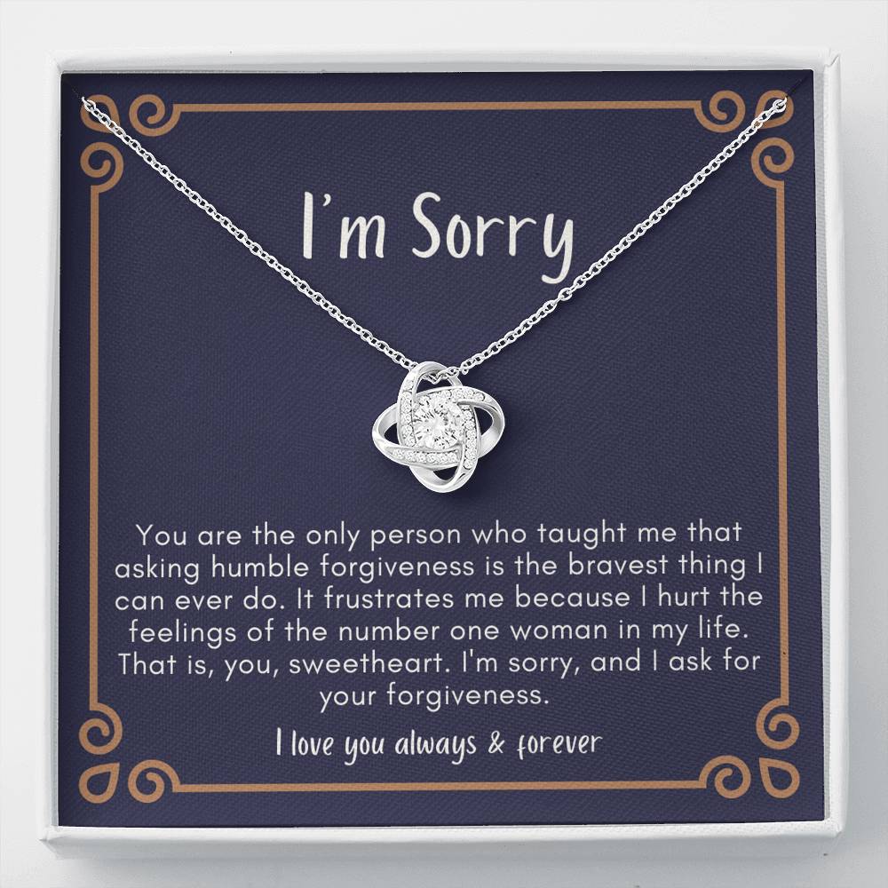 Sorry Gift, Apology Gift For Her, Forgiveness Gift, I’m Sorry Necklace Gift For Wife Girlfriend
