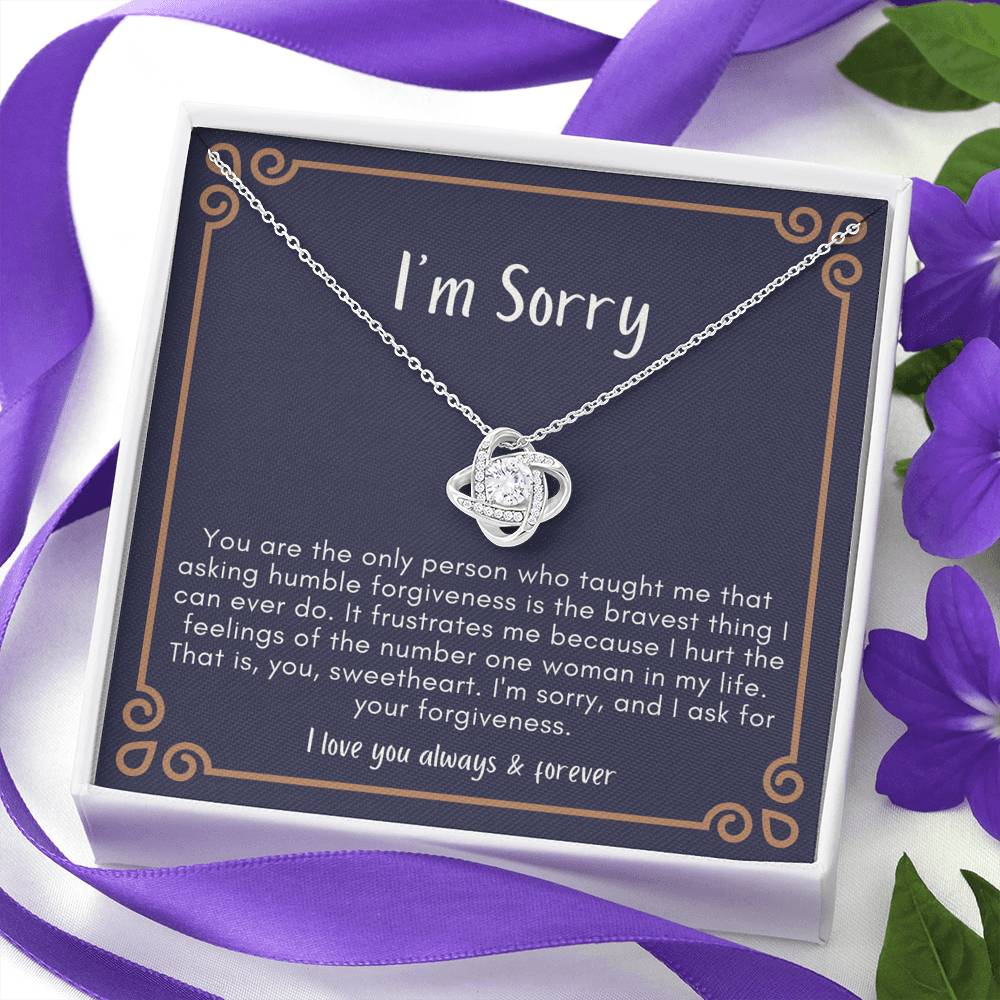 Sorry Gift, Apology Gift For Her, Forgiveness Gift, I’m Sorry Necklace Gift For Wife Girlfriend