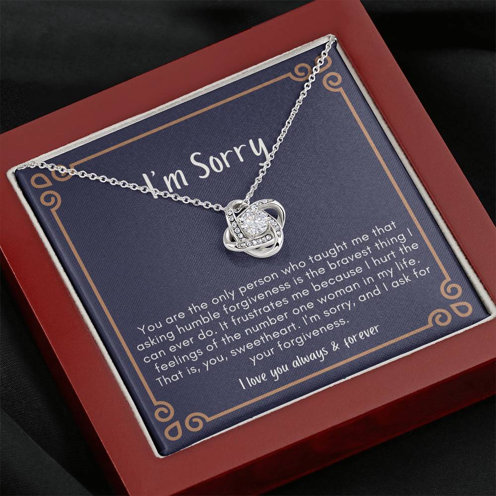Sorry Gift, Apology Gift For Her, Forgiveness Gift, I’m Sorry Necklace Gift For Wife Girlfriend
